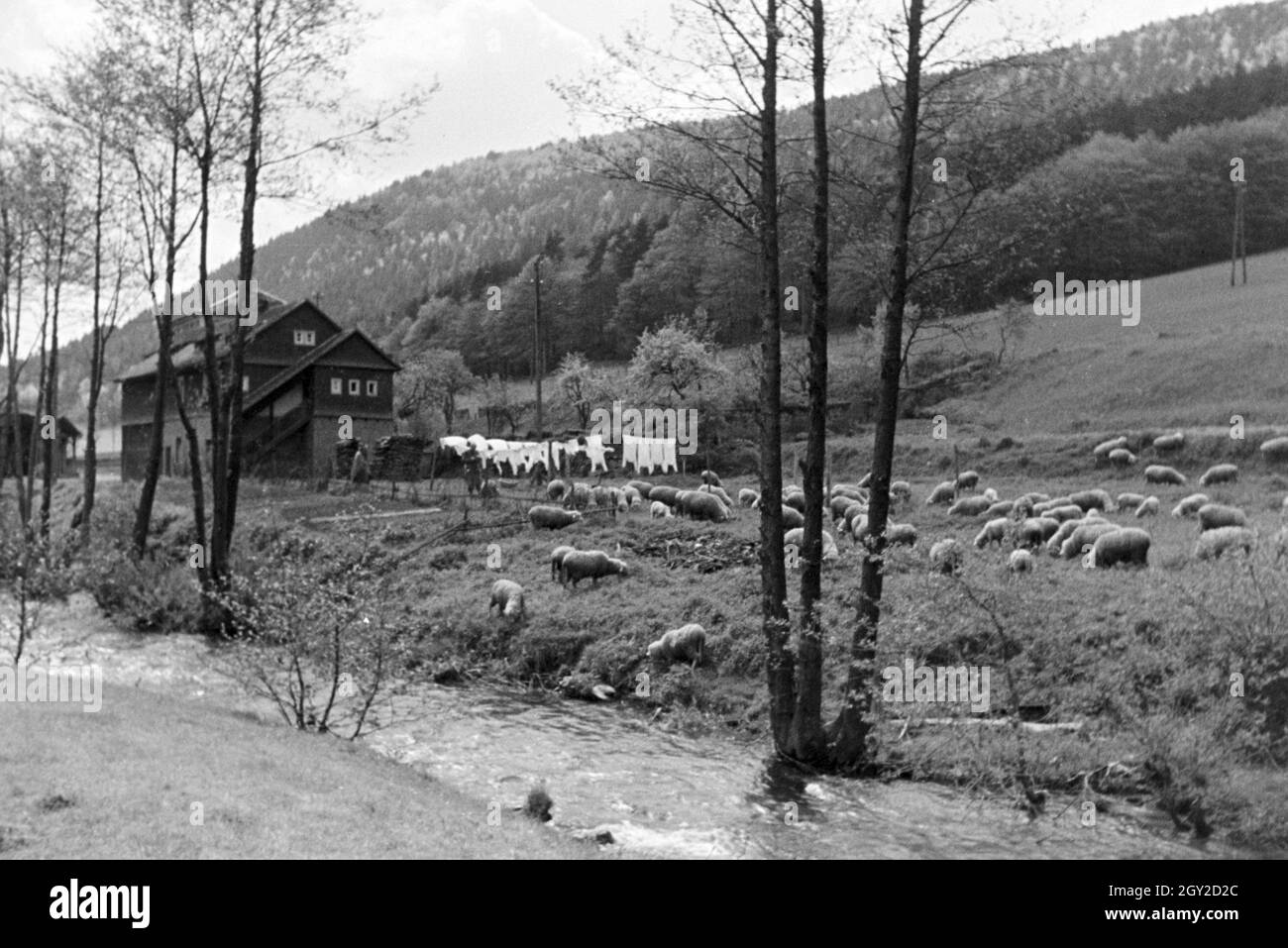 Ein Ausflug in den Odenwald, Deutsches Reich 1930er Jahre. Un'escursione alla foresta di odi, Germania 1930s. Foto Stock