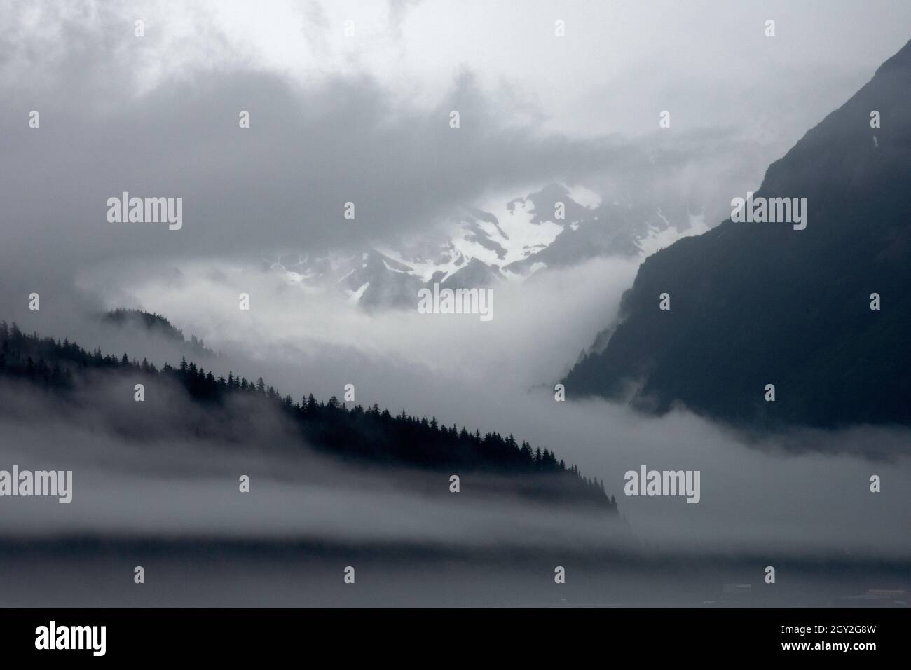 Nebbia fitta sulla costa di Fox Island, Resurrection Bay, Seward, Alaska, USA Foto Stock
