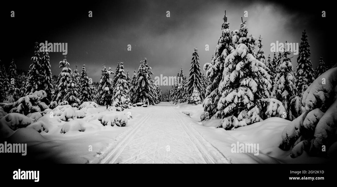 Idilliaca montagna invernale con pista da fondo. Montagne di Jizera, Repubblica Ceca. Immagine in bianco e nero. Foto Stock