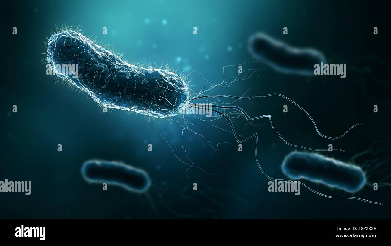 Gruppo di batteri come Escherichia coli, Helicobacter pylori o Salmonella 3D rendering illustrazione. Microbiologia, medicina, batteriologia, biologia, Foto Stock