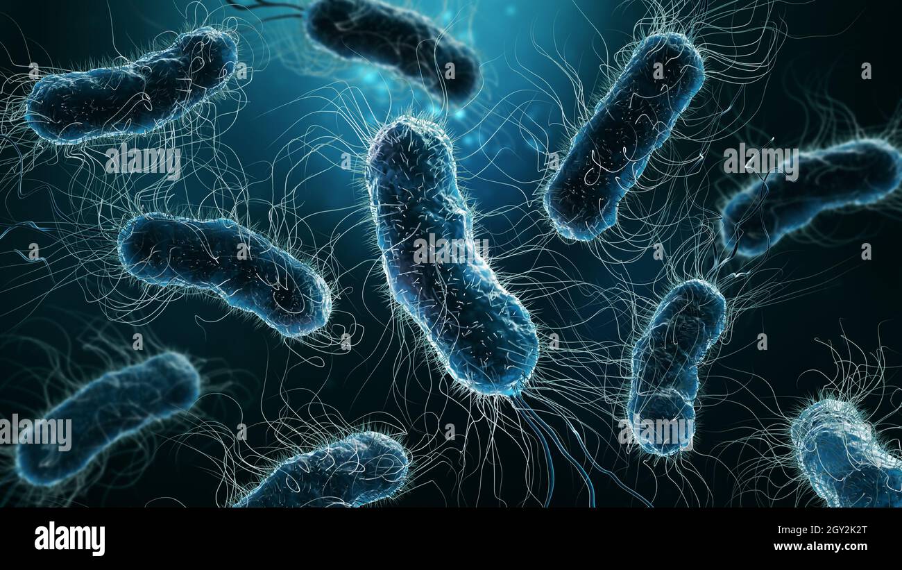 Immagine di rappresentazione 3D close-up di colonie di batteri su sfondo blu. Microbiologia, medicina, biologia, batteriologia, scienza, medicina, infezione, Foto Stock