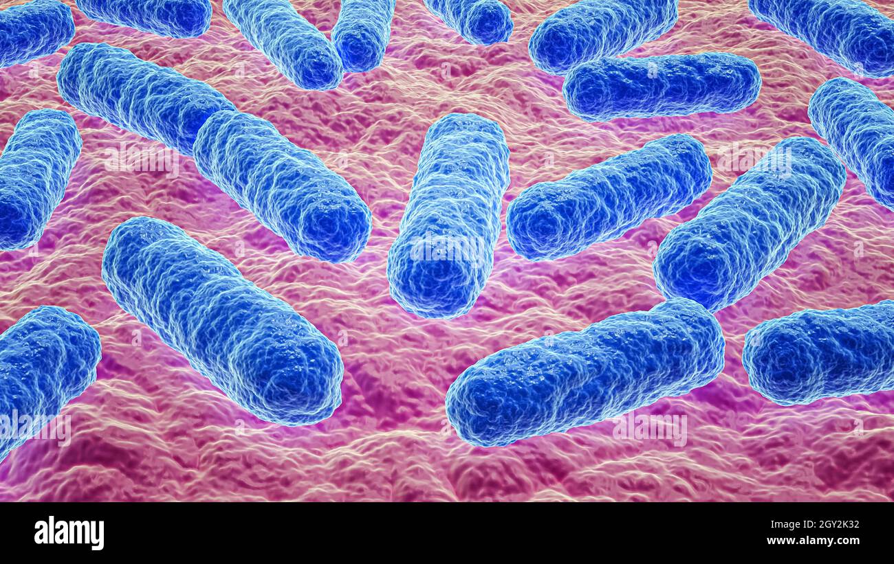 Illustrazione del rendering 3D close-up della micrografia batterica. Microbiologia, biologia, batteriologia, malattia, scienza, sanità, medicina, infezione Foto Stock