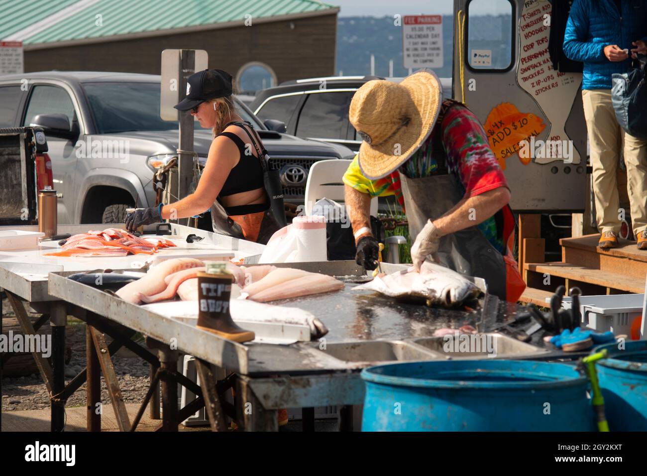 Lavoratori che puliscono e riempiscono halibut appena pescati, Hippoglossus stenolepis, Homer, Alaska, USA Foto Stock