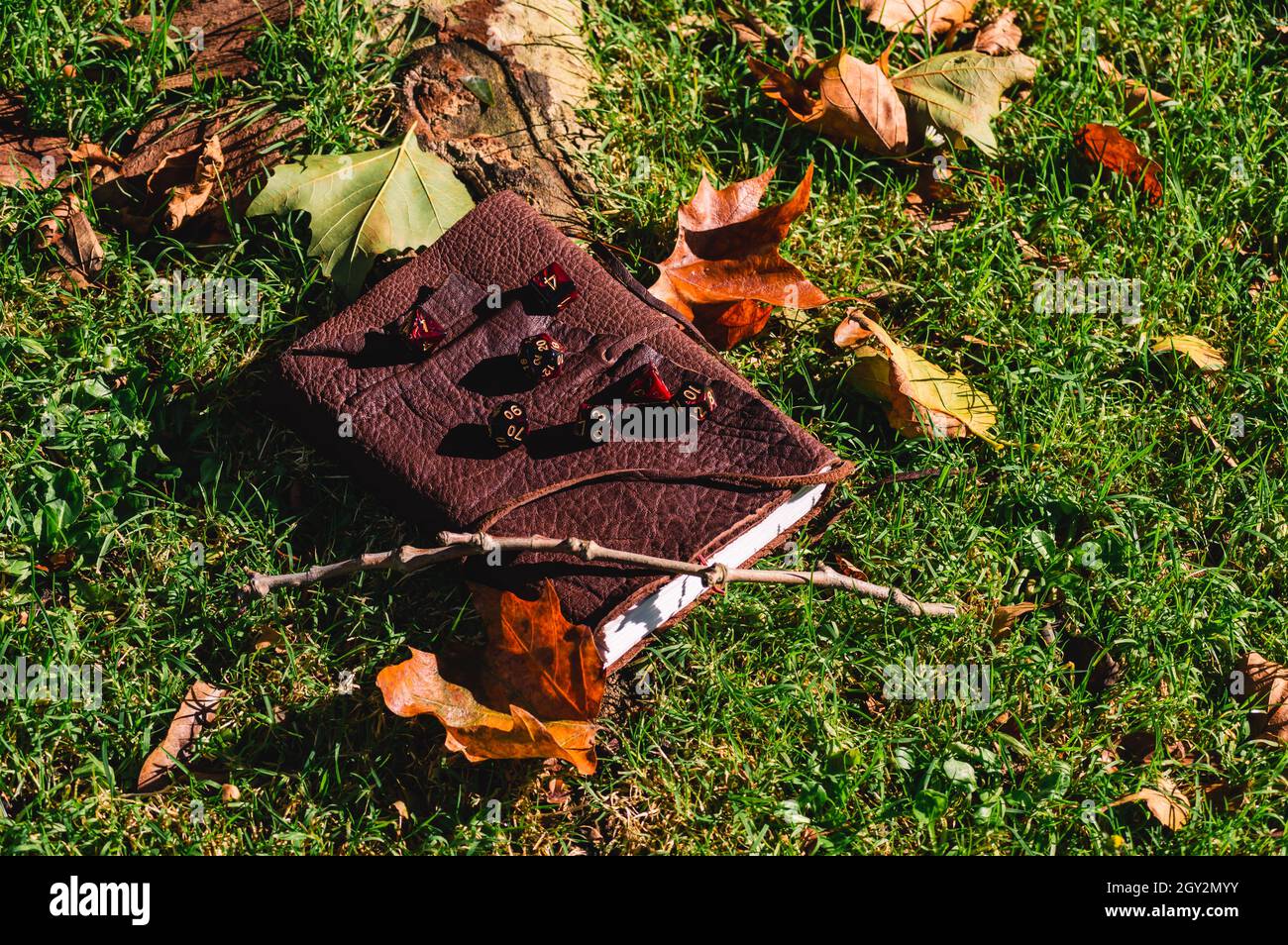 Immagine dall'alto di un set di dadi RPG su un libro in pelle con foglie autunnali sull'erba Foto Stock