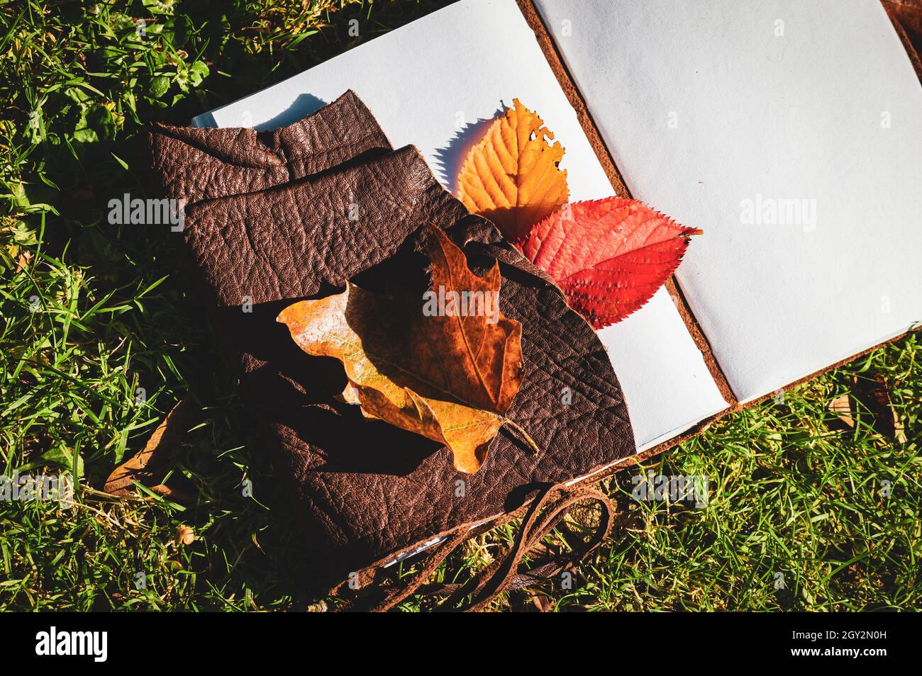 Immagine in alto di un taccuino aperto con foglie autunnali sull'erba nel sole del pomeriggio Foto Stock
