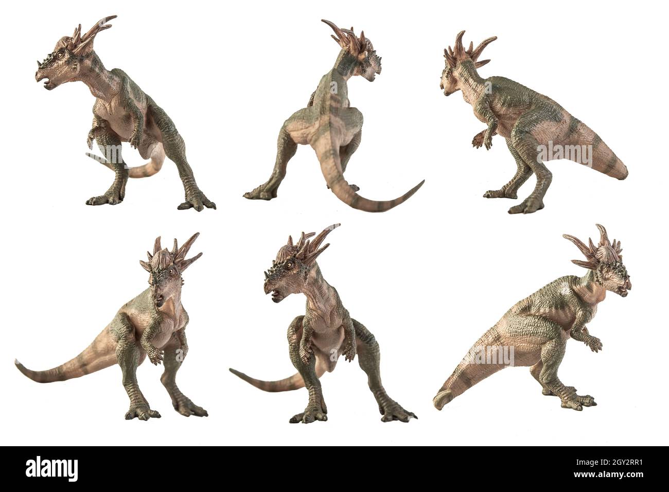 Dinosauro Stygimoloch su sfondo bianco . Foto Stock