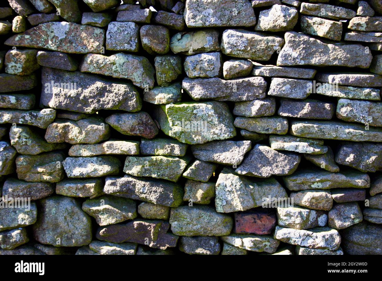 Asciugare la parete di pietra in Inghilterra Foto Stock