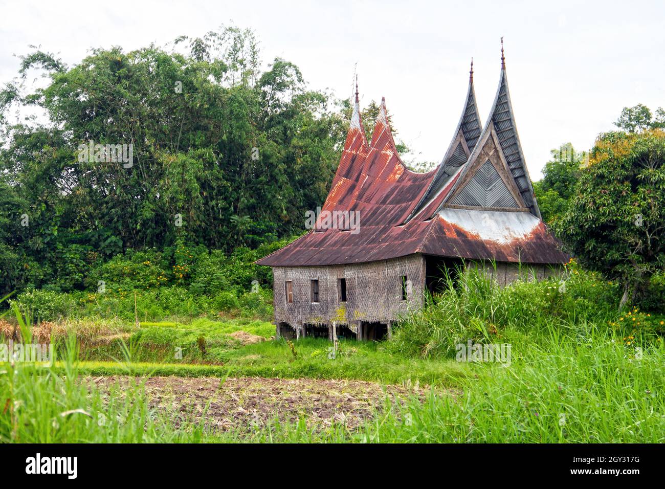 Una vecchia casa Minang o Rumah Gadang con palafitte sopra la terra nella valle di Harau, Sumatra occidentale, Indonesia. Foto Stock