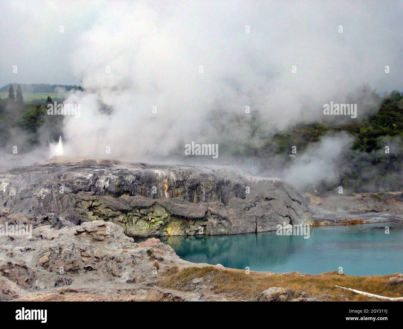 Pohutu Geyser lascia il vapore nel paesaggio geotermico di Rotorua, Nuova Zelanda. L'acqua blu sotto la base geyserite del geyser è un luogo popolare, chiamato il Blueis, con i Maori a nuotare durante l'estate. L'area fa parte della zona vulcanica di Taupo situata nella città di Rotorua, che si trova nel cratere di un vulcano dormiente. Foto Stock