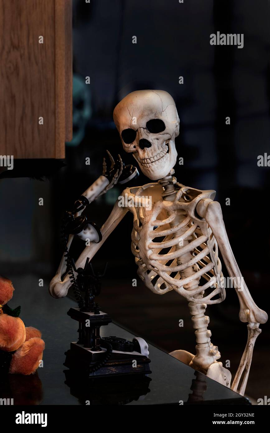 Skeleton talking on telephone immagini e fotografie stock ad alta  risoluzione - Alamy