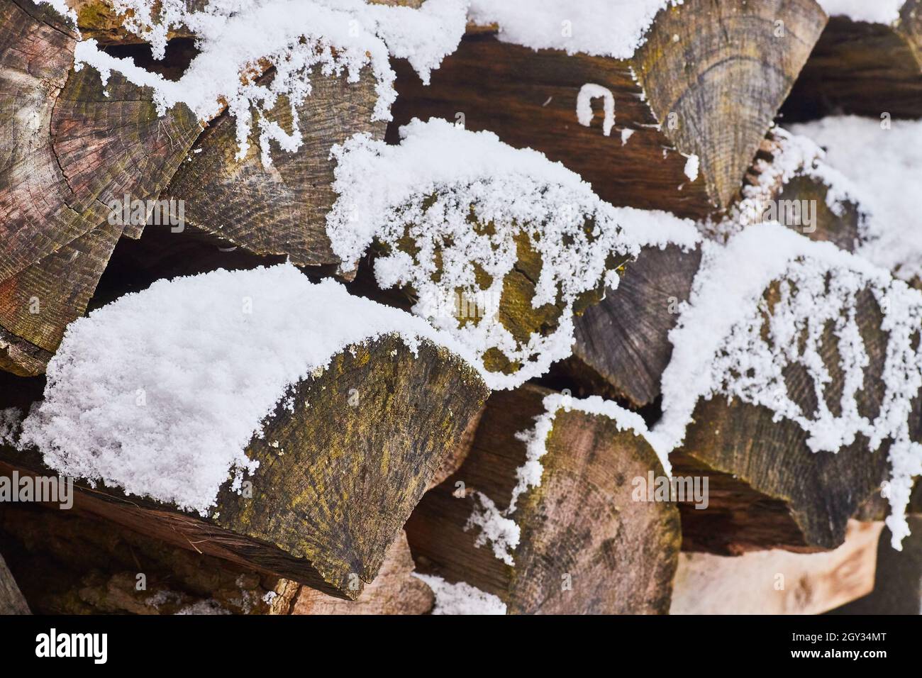 Particolare di neve su quarto tronchi di legna da ardere Foto Stock