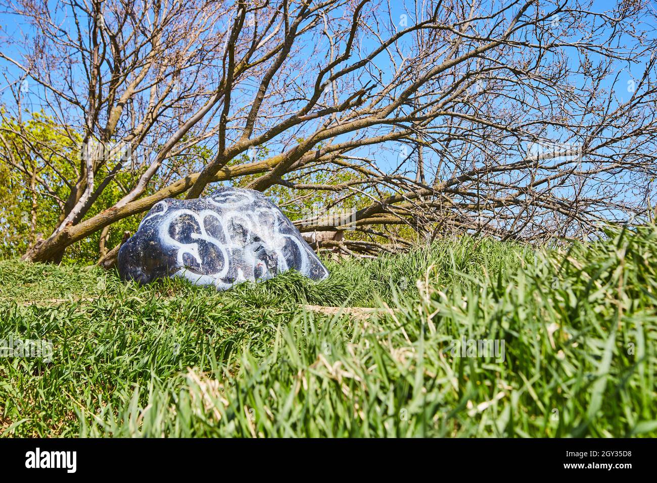 Campo verde con roccia spruzzata con vernice bianca e grande albero Foto Stock