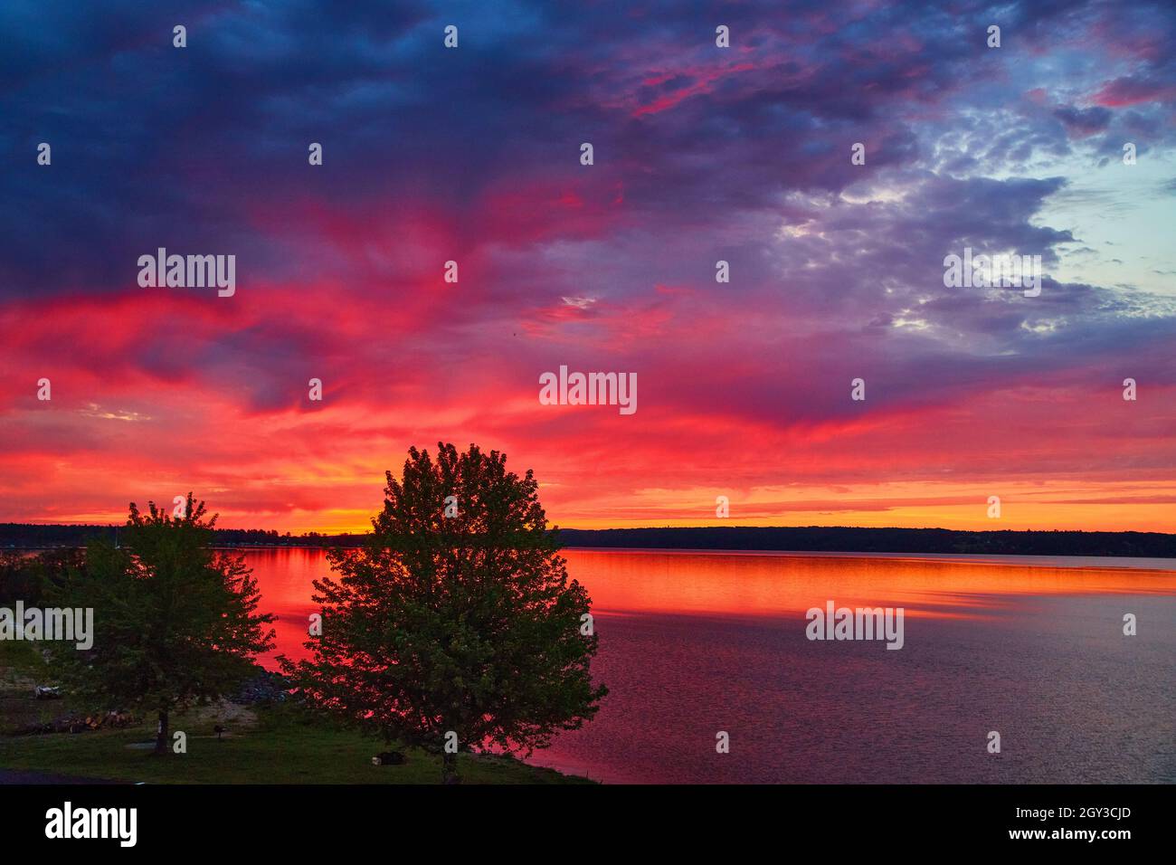 Lago con alberi durante il tramonto con vivaci colori di viola, rosso e arancio Foto Stock