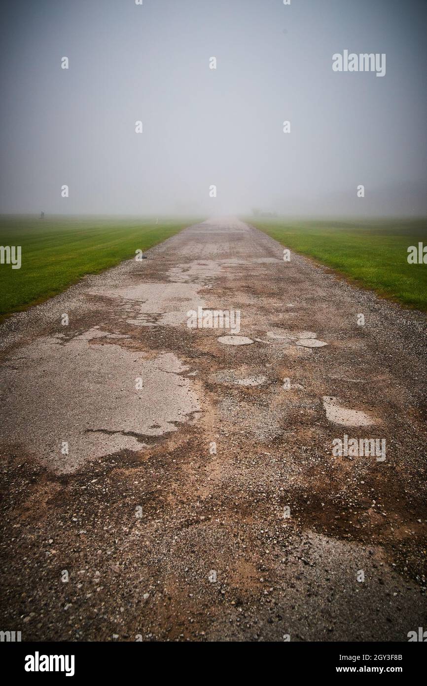 Strada di ghiaia mattutina foggy in campo di erba Foto Stock