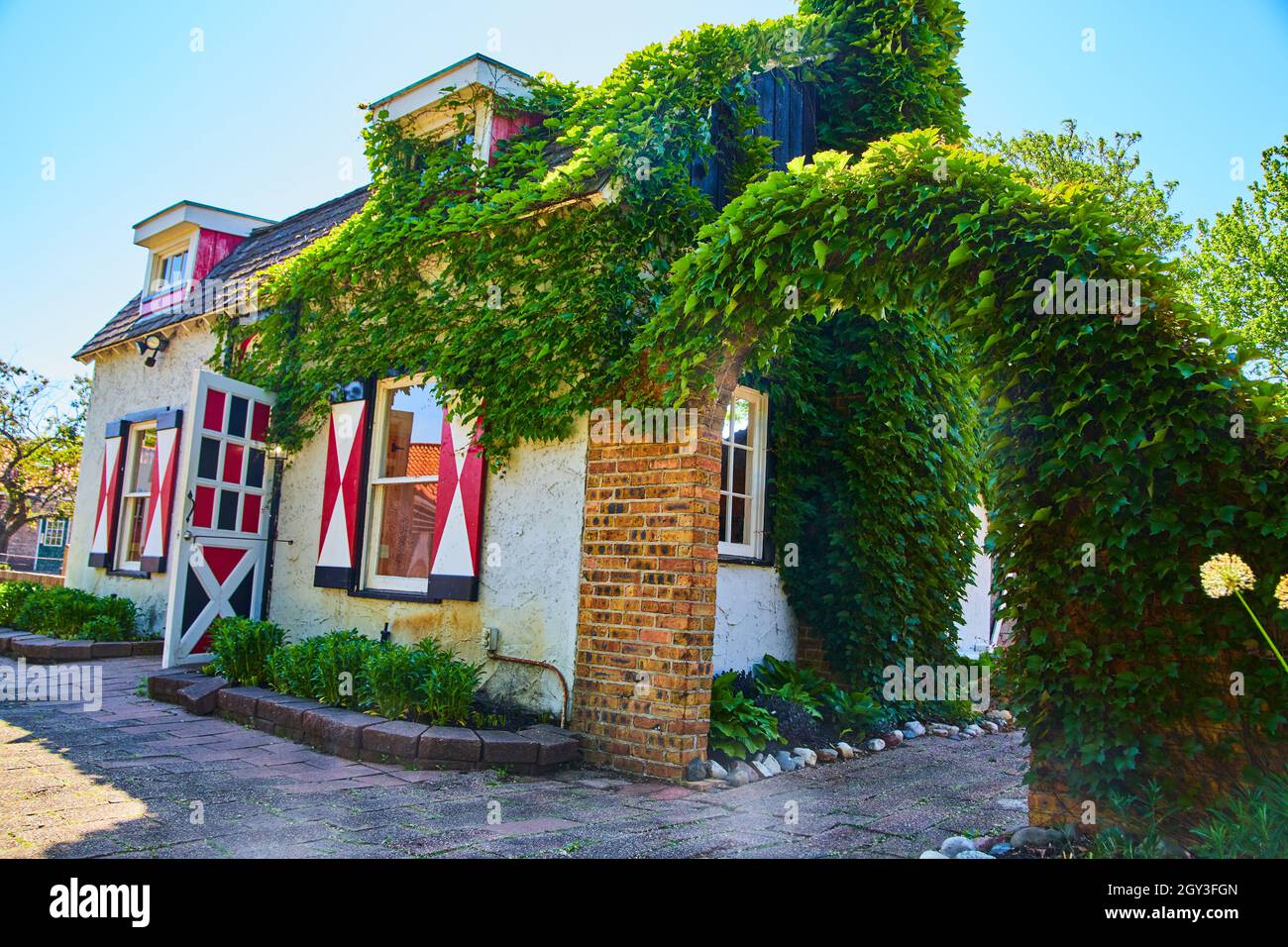 Architettura olandese di edificio con persiane rosse e bianche di bandiera e arco di mattoni coperto in edera Foto Stock