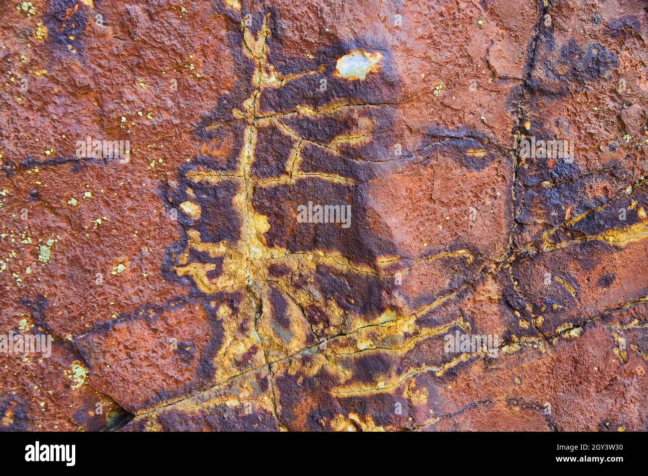 Struttura rocciosa con superficie rossa e vene d'oro e nere Foto Stock