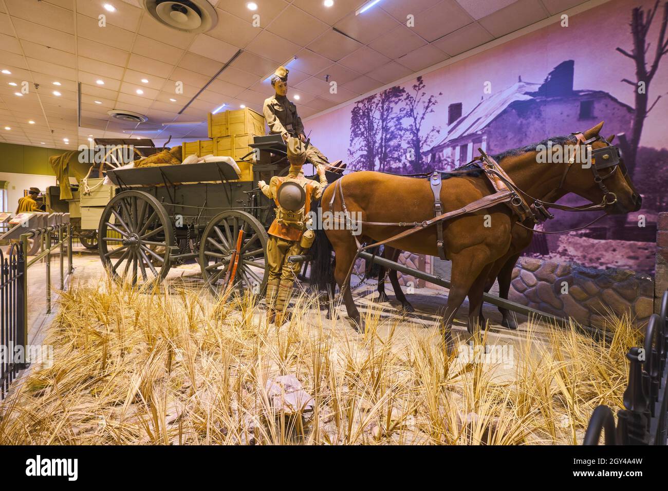 Un diorama di un soldato dell'era della prima Guerra Mondiale con una squadra di cavalli che tirano un carro di rifornimento. Presso il museo dei trasporti dell'esercito degli Stati Uniti a Fort Eustis, Virginia. Foto Stock