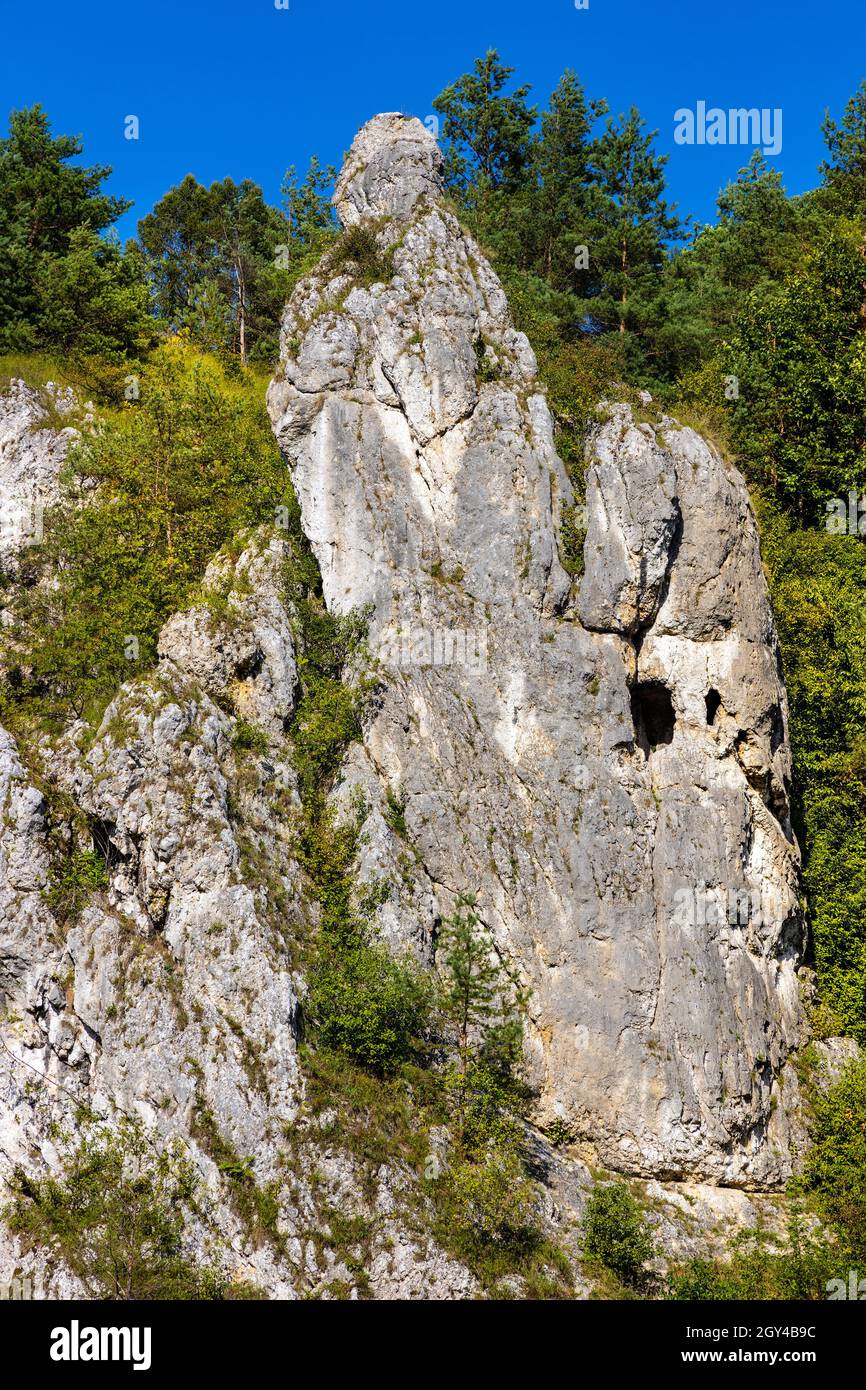 Massiccio di roccia calcarea monaco conosciuto come Mnich nella valle di Kobylanska all'interno del Giura Krakowsko-Czestochowska altopiano vicino a Cracovia in Polonia minore Foto Stock