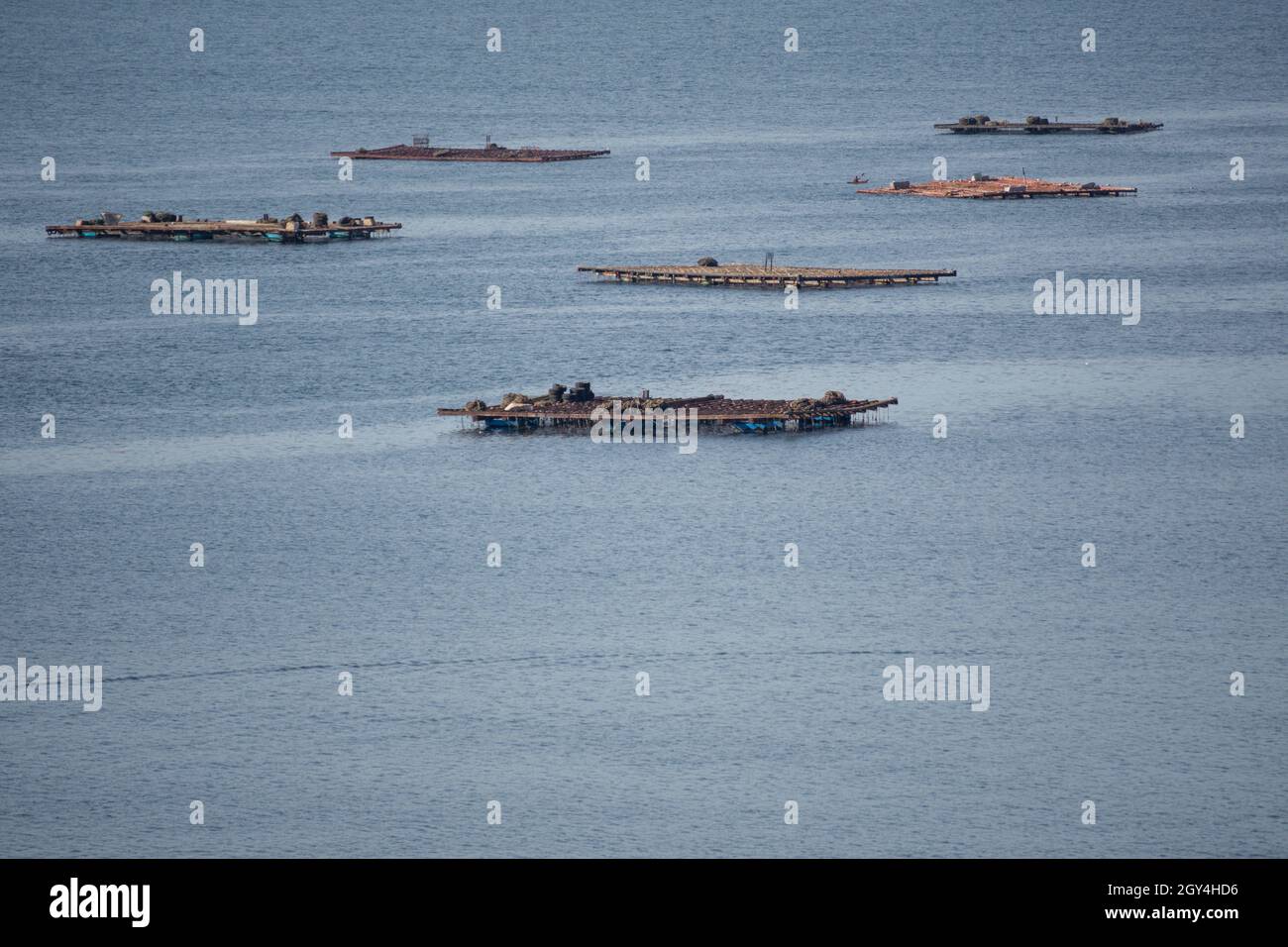 Estuario di Ria de Vigo, con fattorie di mitili di fronte, Galizia, Spagna. Foto Stock