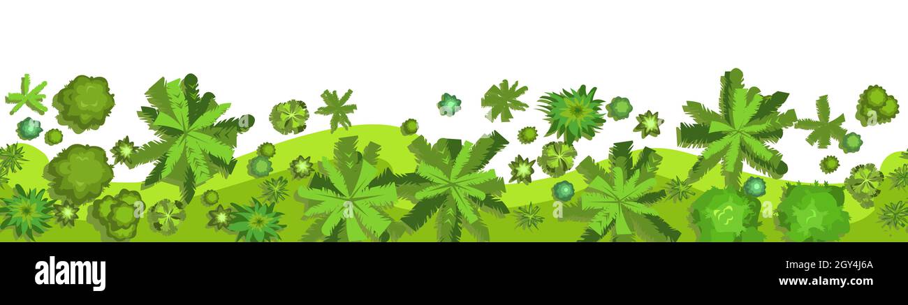 Giungla. Vista superiore della foresta del bordo. Composizione orizzontale senza giunture. Foresta pluviale in eccesso. Isolato su sfondo bianco. Design piatto in stile cartone animato Illustrazione Vettoriale
