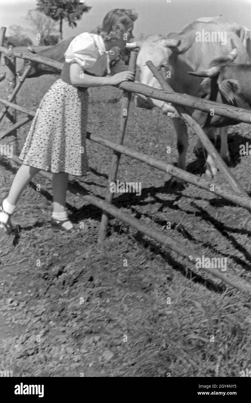 Die österreichische Schauspielerin Gusti Wolf macht Ferien auf dem Lande, Deutschland 1930er Jahre. Attrice austriaca Gusti Wolf in vacanza in campagna, Germania 1930s. Foto Stock