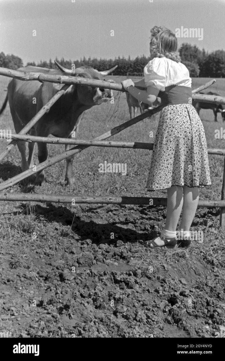 Die österreichische Schauspielerin Gusti Wolf macht Ferien auf dem Lande, Deutschland 1930er Jahre. Attrice austriaca Gusti Wolf in vacanza in campagna, Germania 1930s. Foto Stock