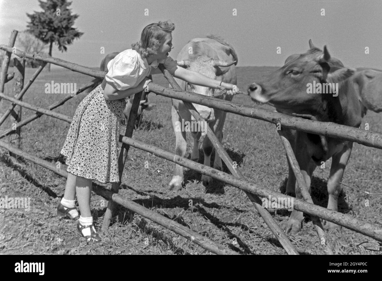 Die österreichische Schauspielerin Gusti Wolf macht Ferien auf dem Lande, Deutschland 1930er Jahre. Attrice austriaca Gusti Wolf in vacanza in campagna, Germania 1930s. Foto Stock