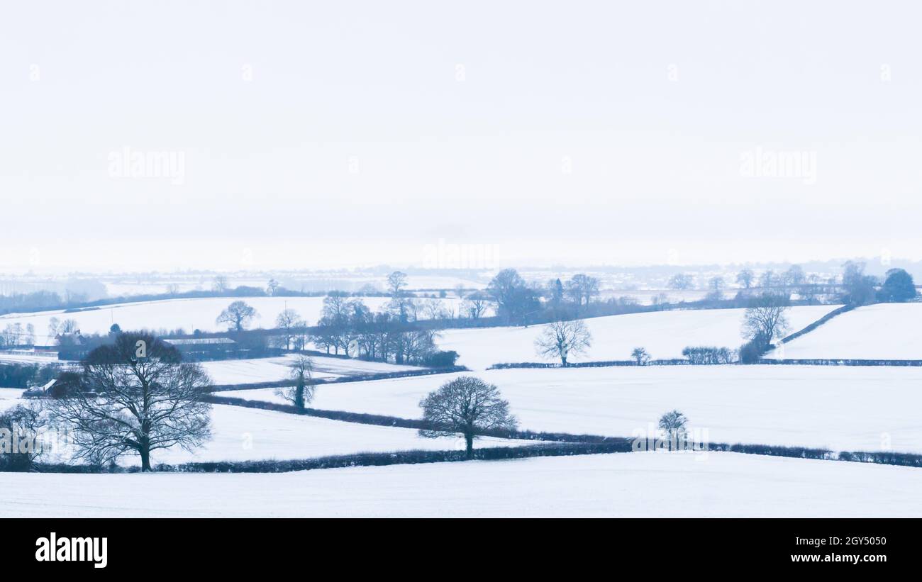 Paesaggio invernale di neve sui campi Foto Stock