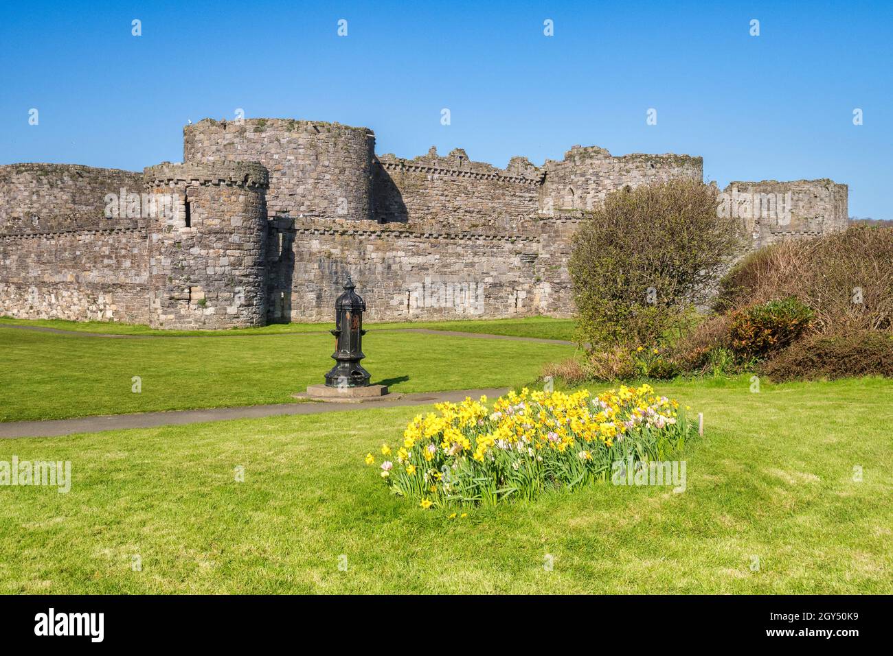 Fiori di primavera nei giardini del Castello di Beaumaris, Anglesey, Galles del Nord. Foto Stock