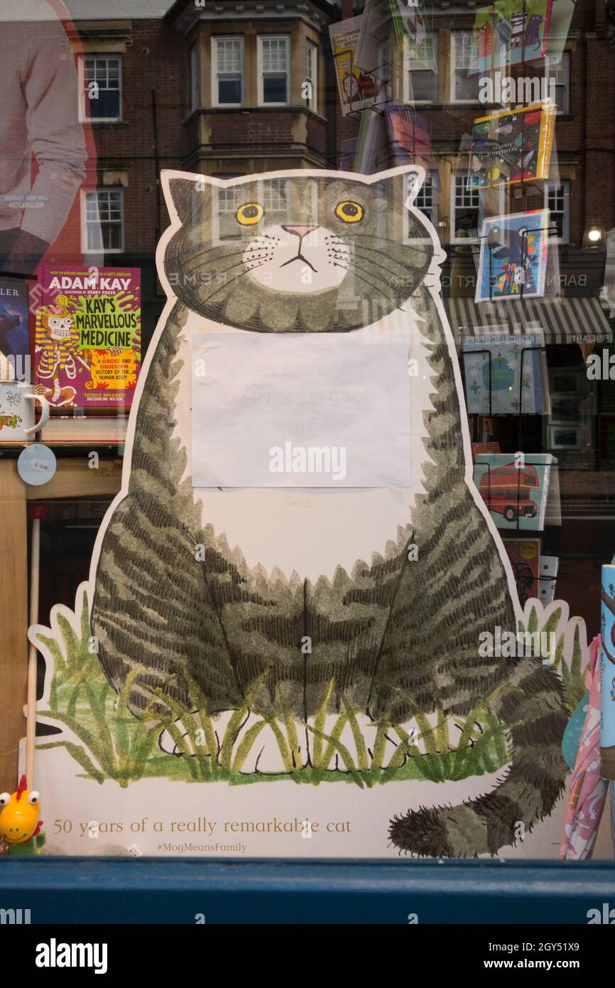 Mog il gatto smemorato immagini e fotografie stock ad alta risoluzione -  Alamy