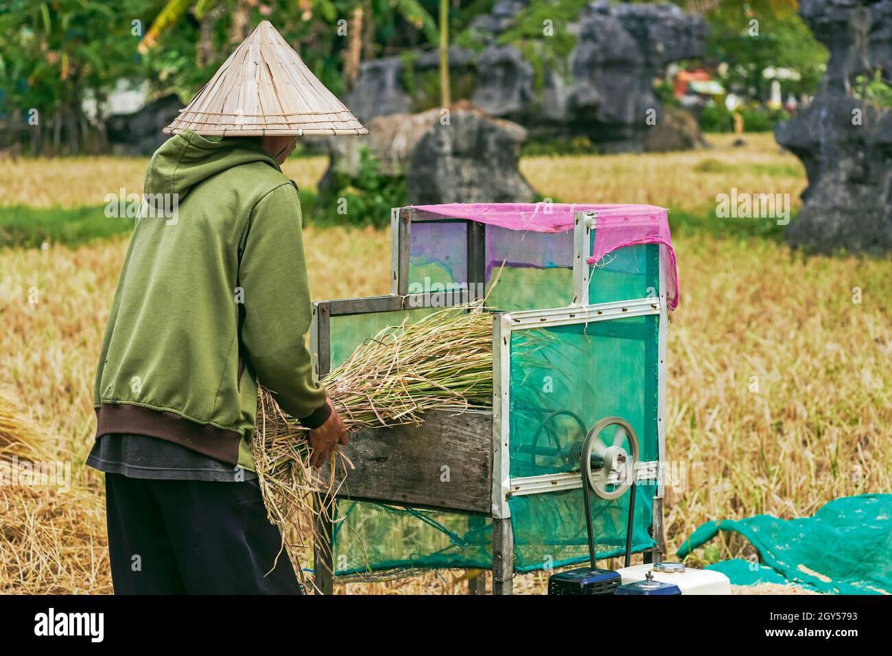 Uomo che batte riso con macchina da rocce calcaree erose tipiche in questa zona carsica, patrimonio dell'umanità dell'UNESCO, Rammang-Rammang, Maros, Sulawesi del Sud, Indonesia Foto Stock
