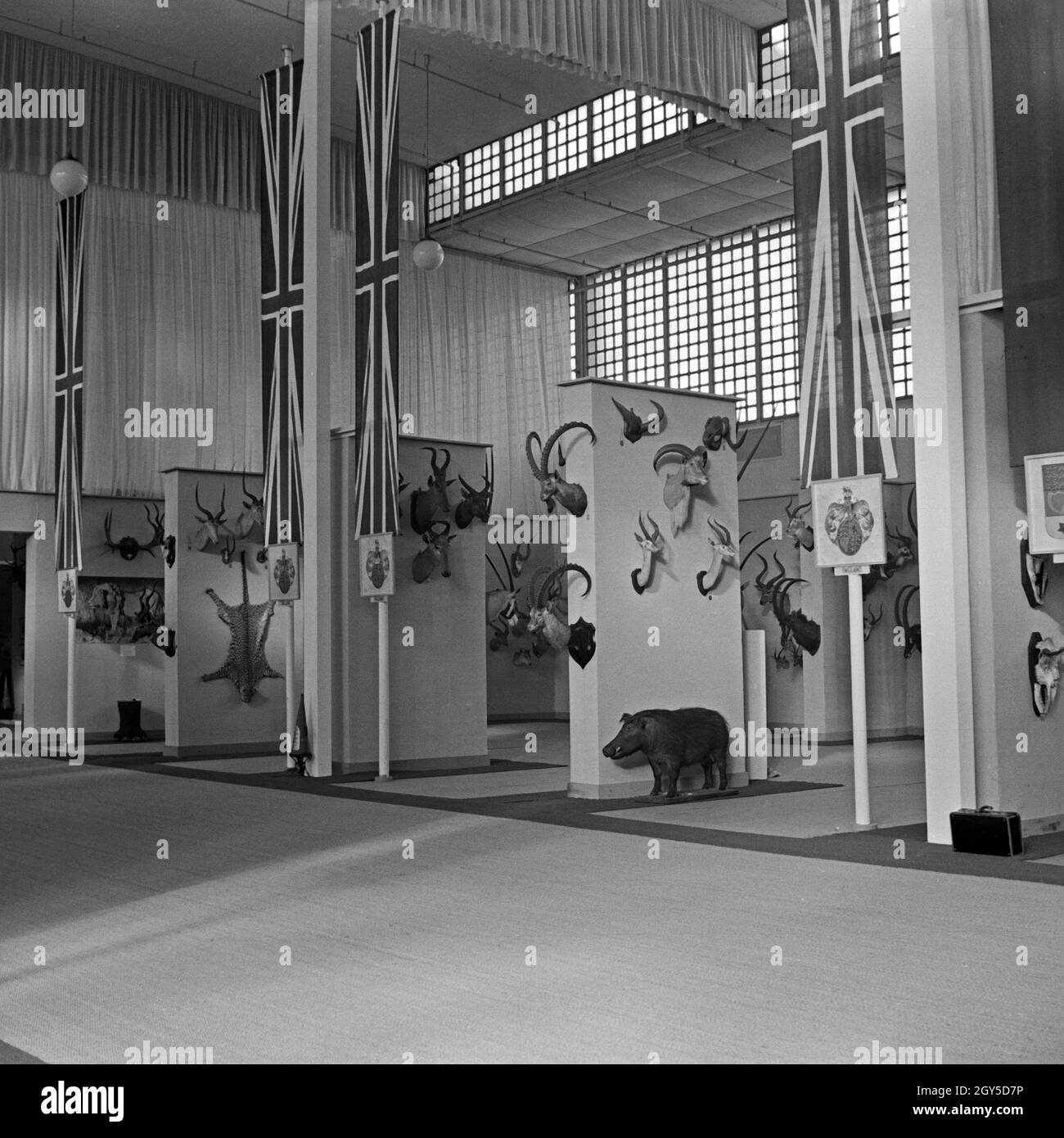 Britischer Pavillon auf der Internationalen Jagdaustellung Berlin 1937, Deutschland 1930er Jahre. British pavillon alla caccia internazionale mostra, Berlin 1937, Germania 1930s. Foto Stock