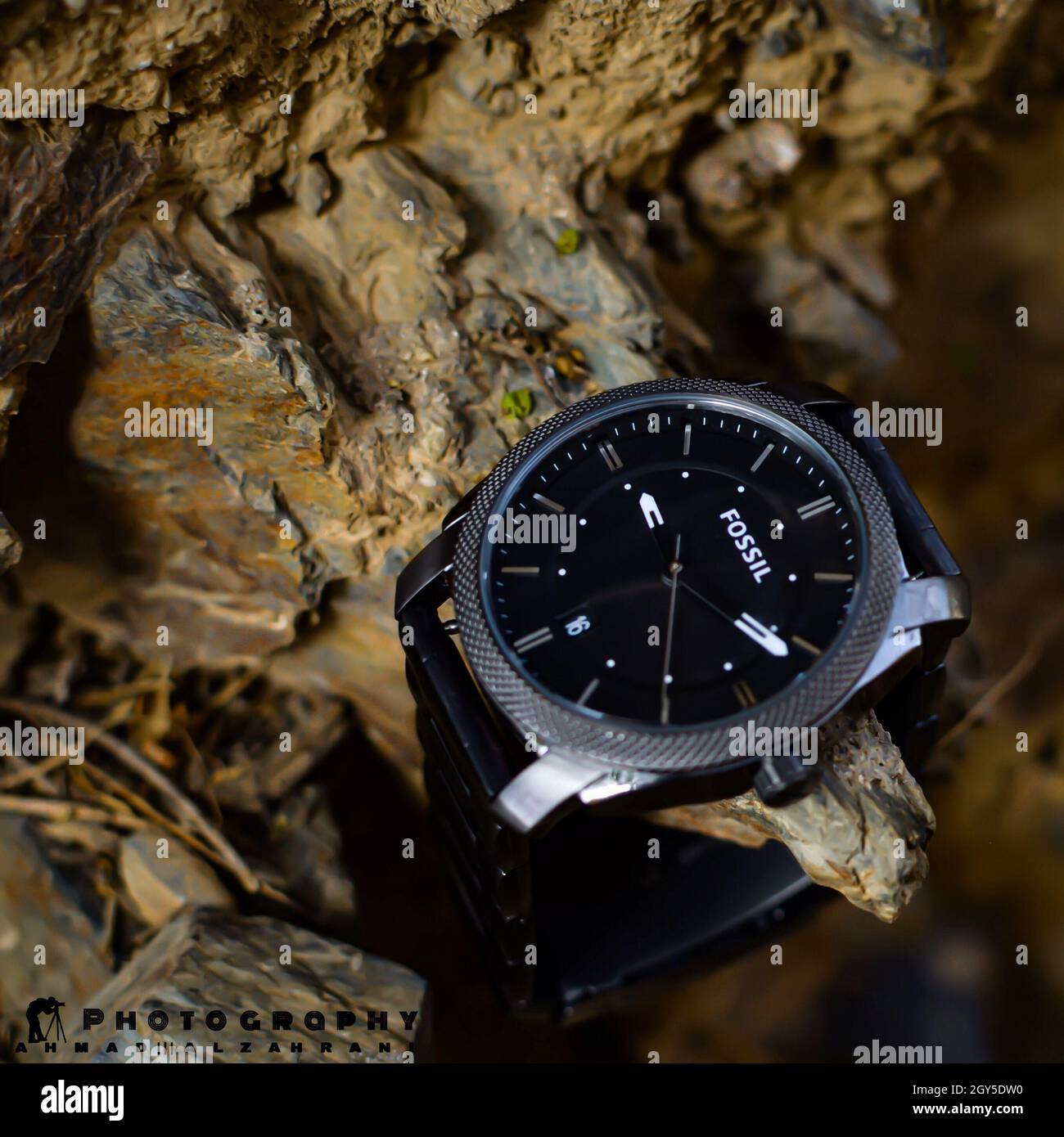 Orologi fossili colore grigio Foto Stock Orologi fossili colore grigio Foto Stock