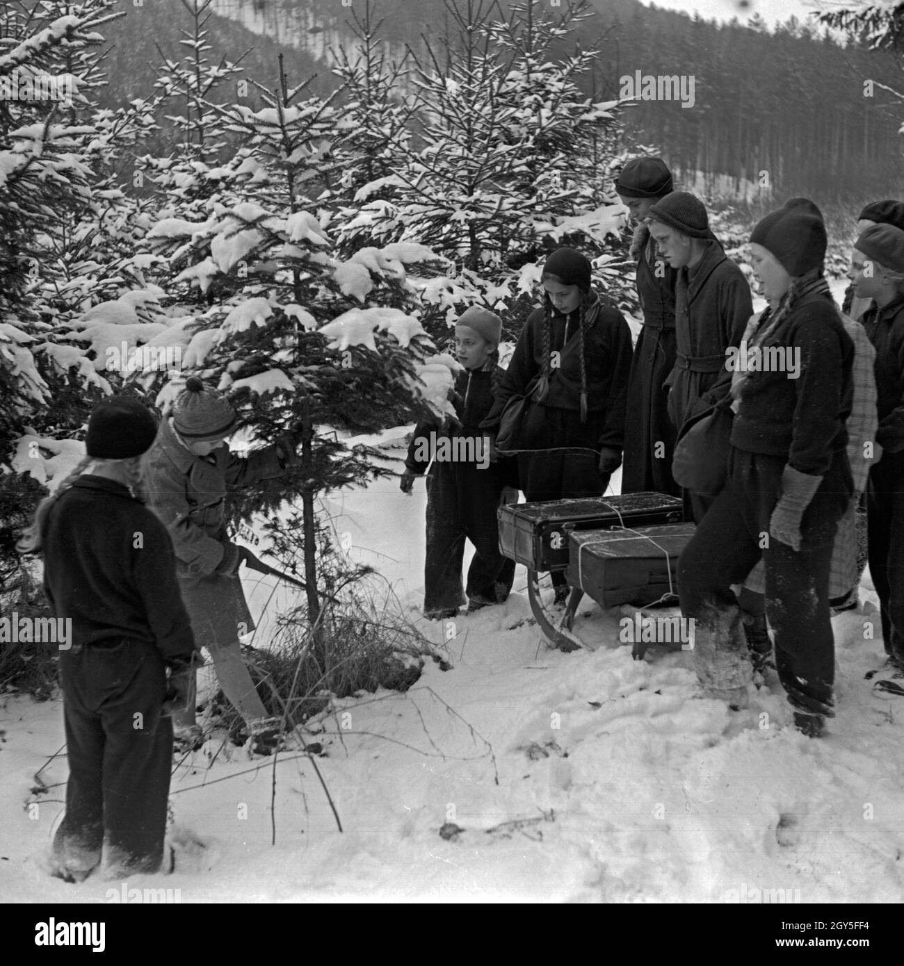Eine Gruppe von Mädchen findet den passenden Weihnachtsbaum fürs Fest, Deutschland 1930er Jahre. Un gruppo di ragazze di trovare la maggior parte del montaggio albero di natale, Germania 1930s. Foto Stock