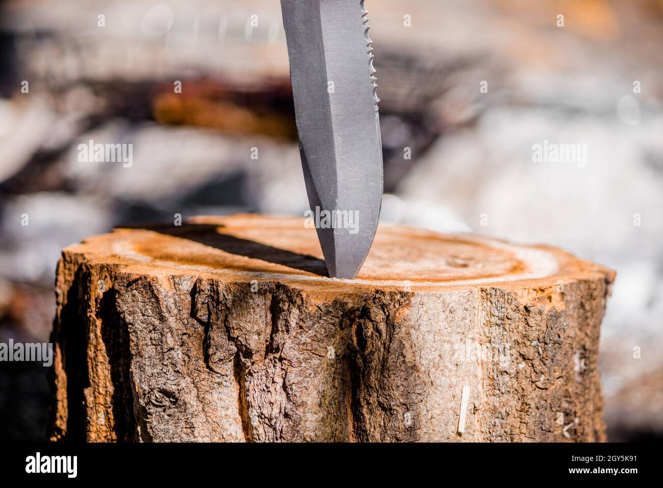 La lama affilata di un coltello è bloccata in un ceppo di legno nella foresta. Foto Stock