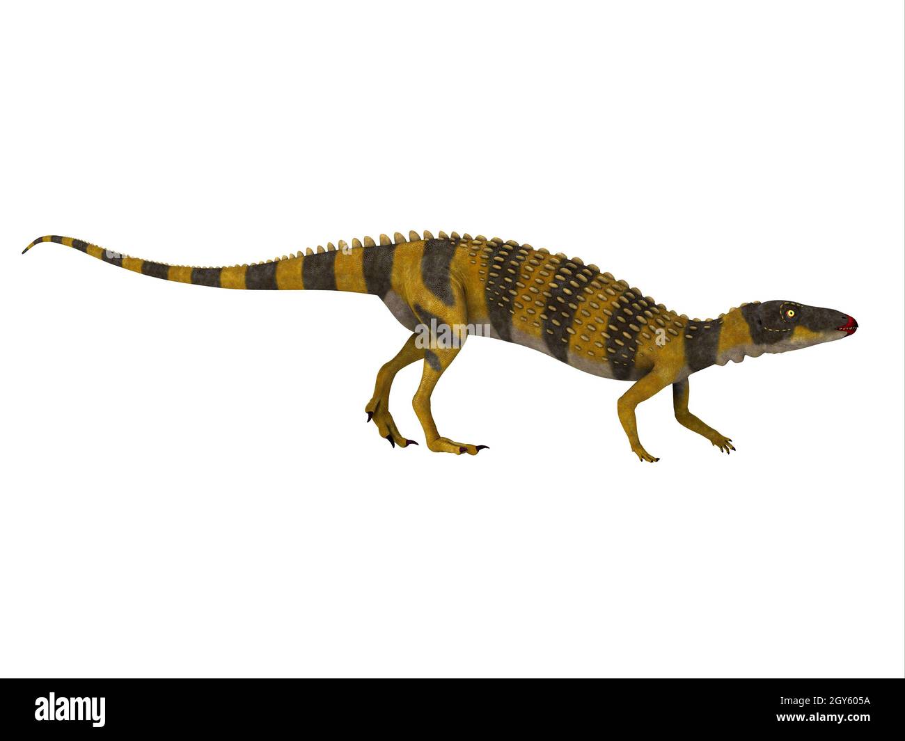 Scutellosaurus era un dinosauro erbivoro corazzato che visse in Arizona durante il periodo giurassico. Foto Stock