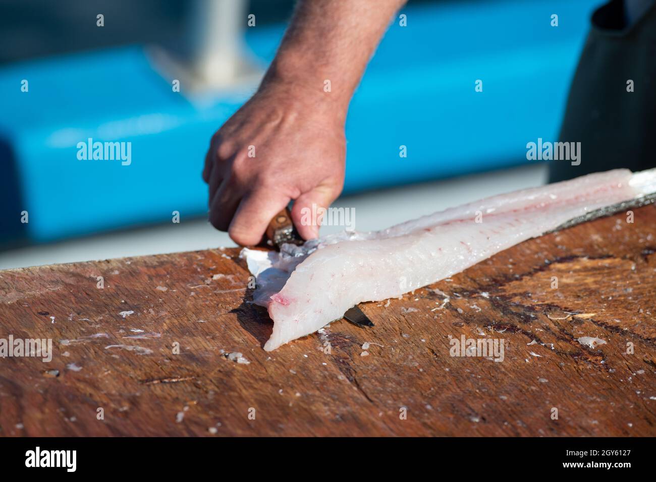 Pesce bianco fresco, merluzzo ripieno e pulito su un tavolo in un ristorante. Lo chef prepara il pesce fresco per il mercato. Ci sono dei filetti di raccordo,. Foto Stock