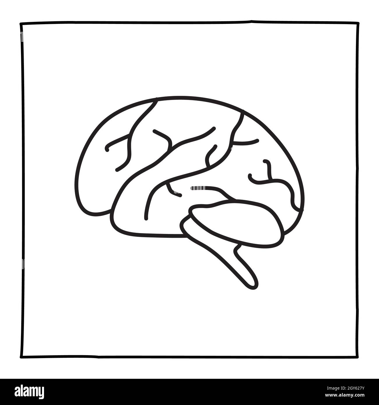 Icona o logo Doodle Brain, disegnata a mano con sottile linea nera. Isolato su sfondo bianco. Illustrazione vettoriale Foto Stock
