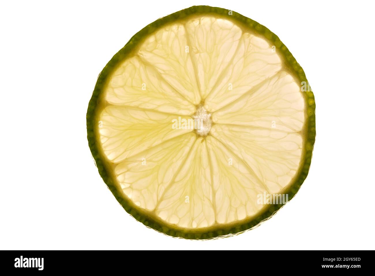 Fetta di limone su primo piano bianco nella retroilluminazione Foto Stock