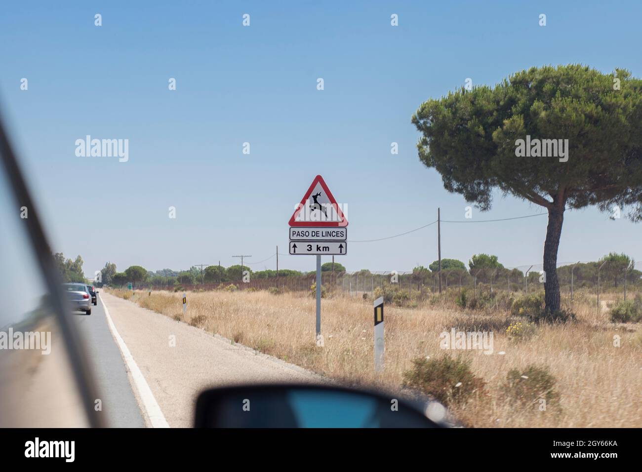 Palo in metallo con segnale stradale avvertimento traversata lince iberica. Le uccisioni stradali sono considerate una causa principale di morte nella lince iberica Foto Stock