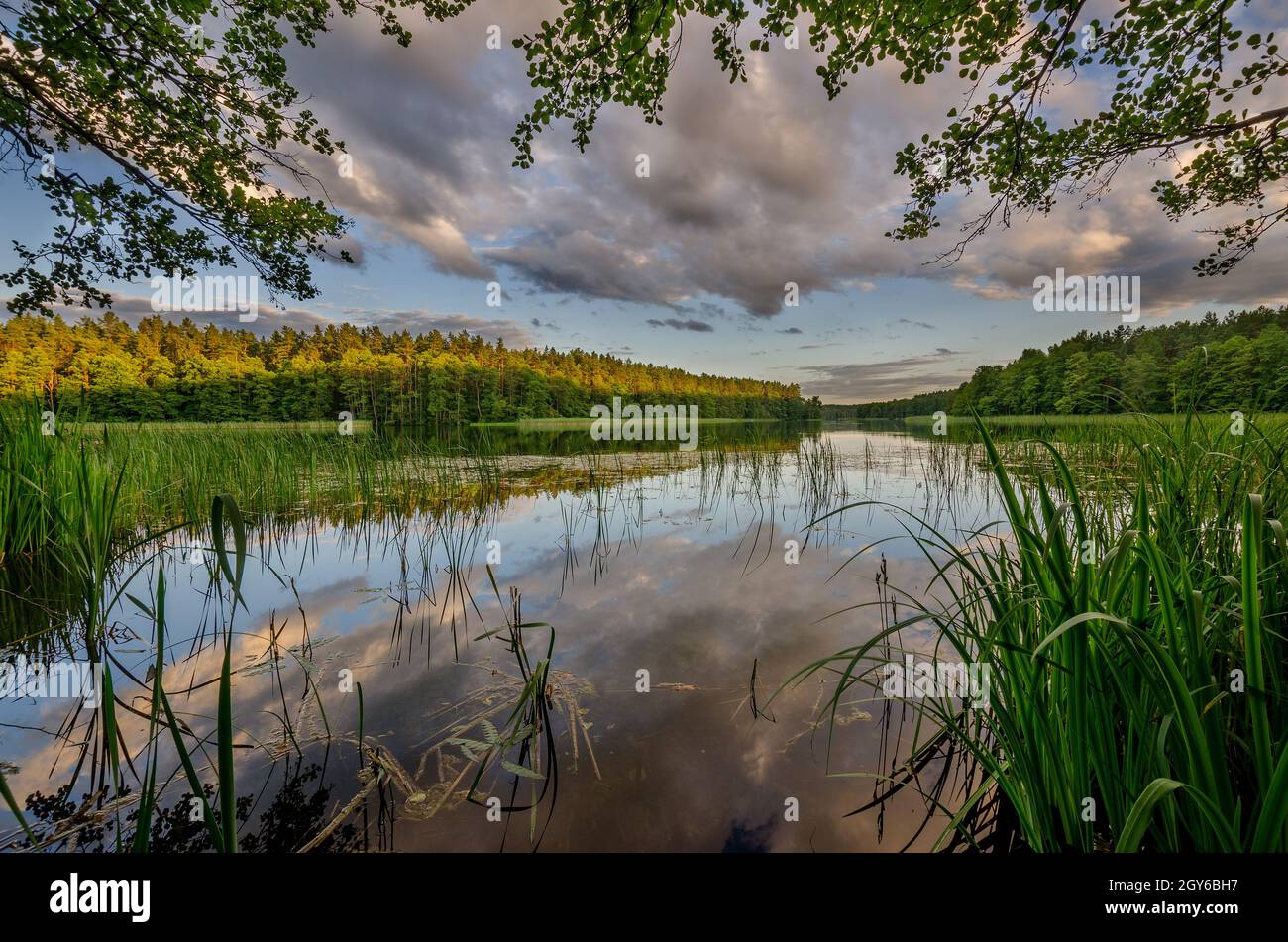 Il lago di Pluszne vicino alla città di Olsztynek, provincia di warmian-mazurian, Polonia. Foto Stock