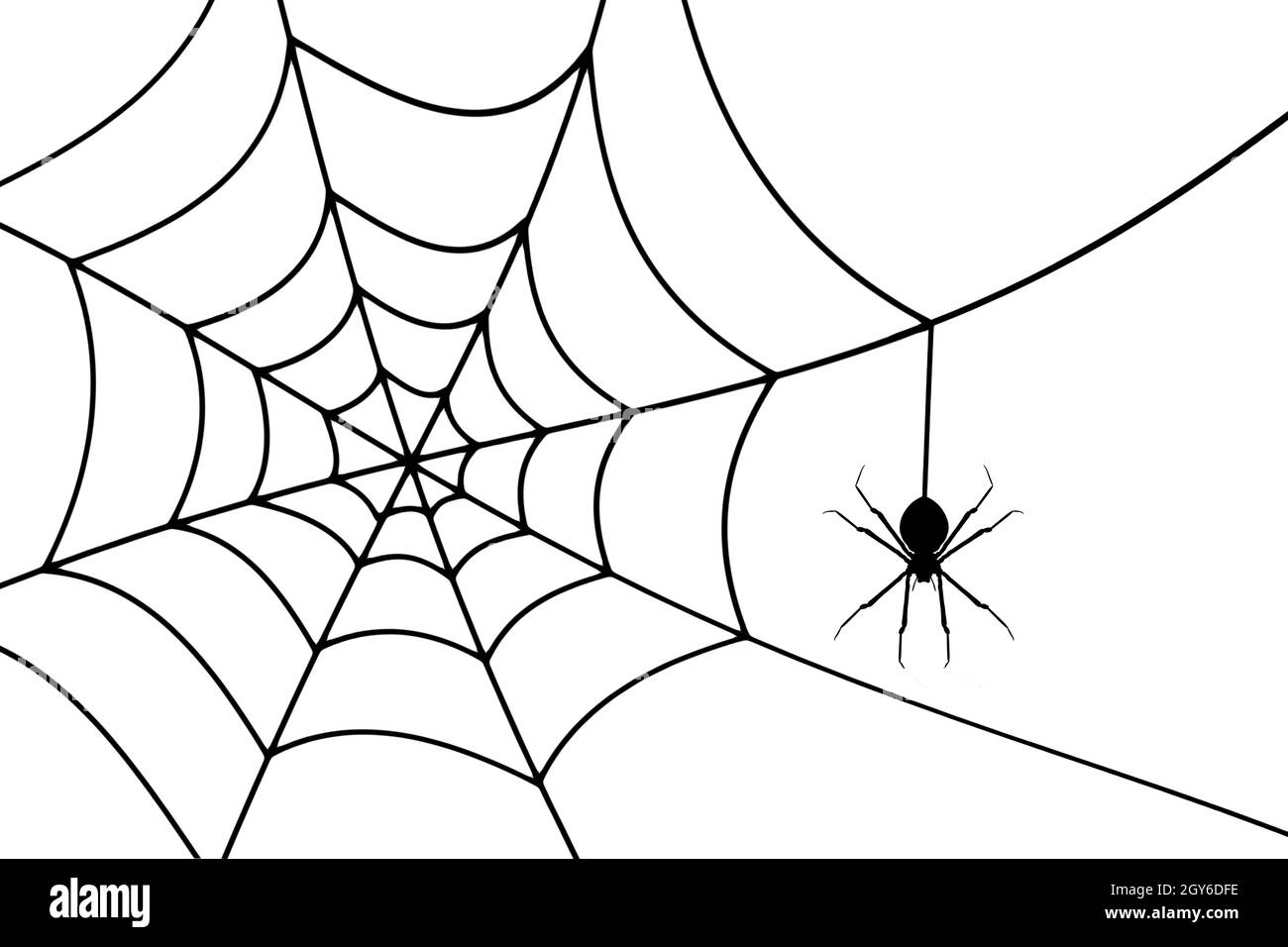 Concetto di Halloween sfondo con un ragno fanno veli. Foto Stock