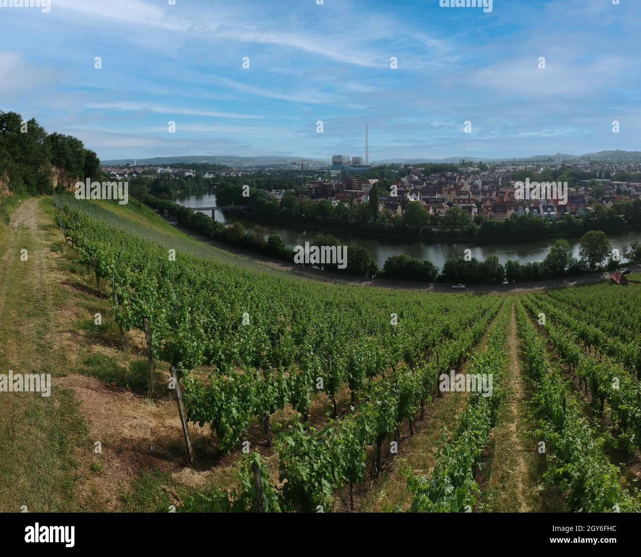Panorama dal vigneto che domina il fiume Necker a Bad Cannstatt, Germania Foto Stock