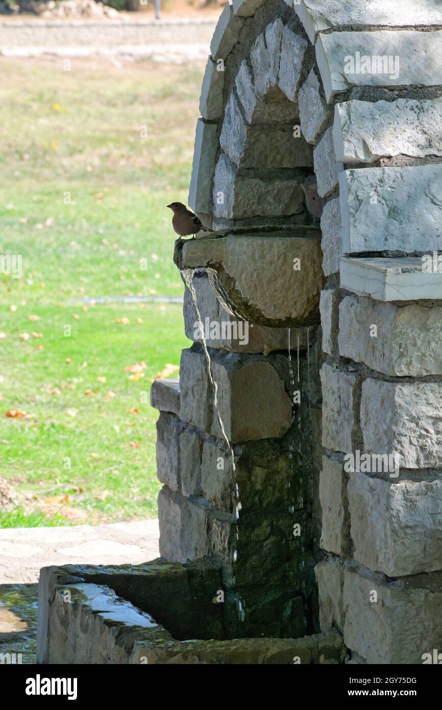 Fontana in pietra tradizionale, Lago Plastira, Grecia montagnosa. Foto Stock