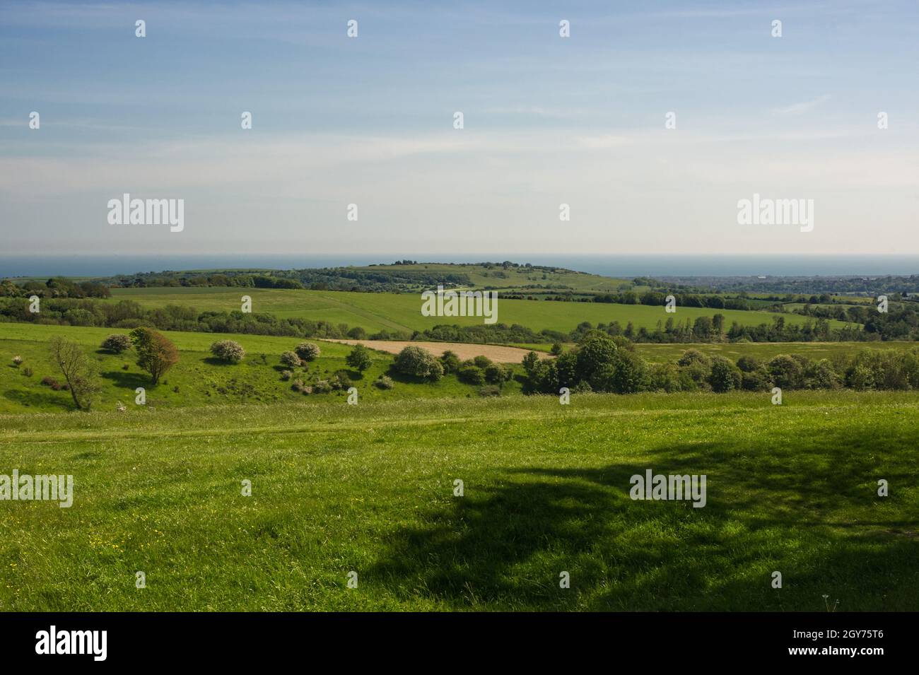Vista a sud da Chanctonbury Hill sul South Downs vicino a Worthing, West Sussex, Inghilterra. Con anello di Cissbury e costa sullo sfondo. Foto Stock