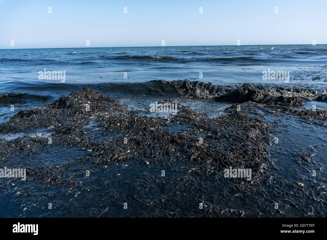 Inquinamento da petrolio in mare sulla costa. Black Color Sea Waves on White Sand Foto Stock
