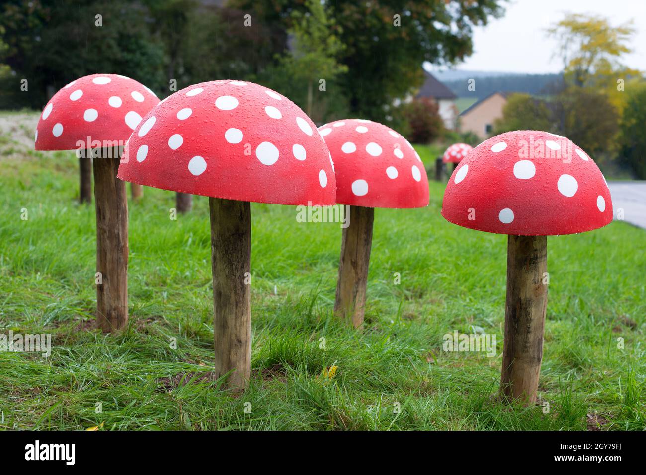 Fungo di Toadstool in legno Foto Stock