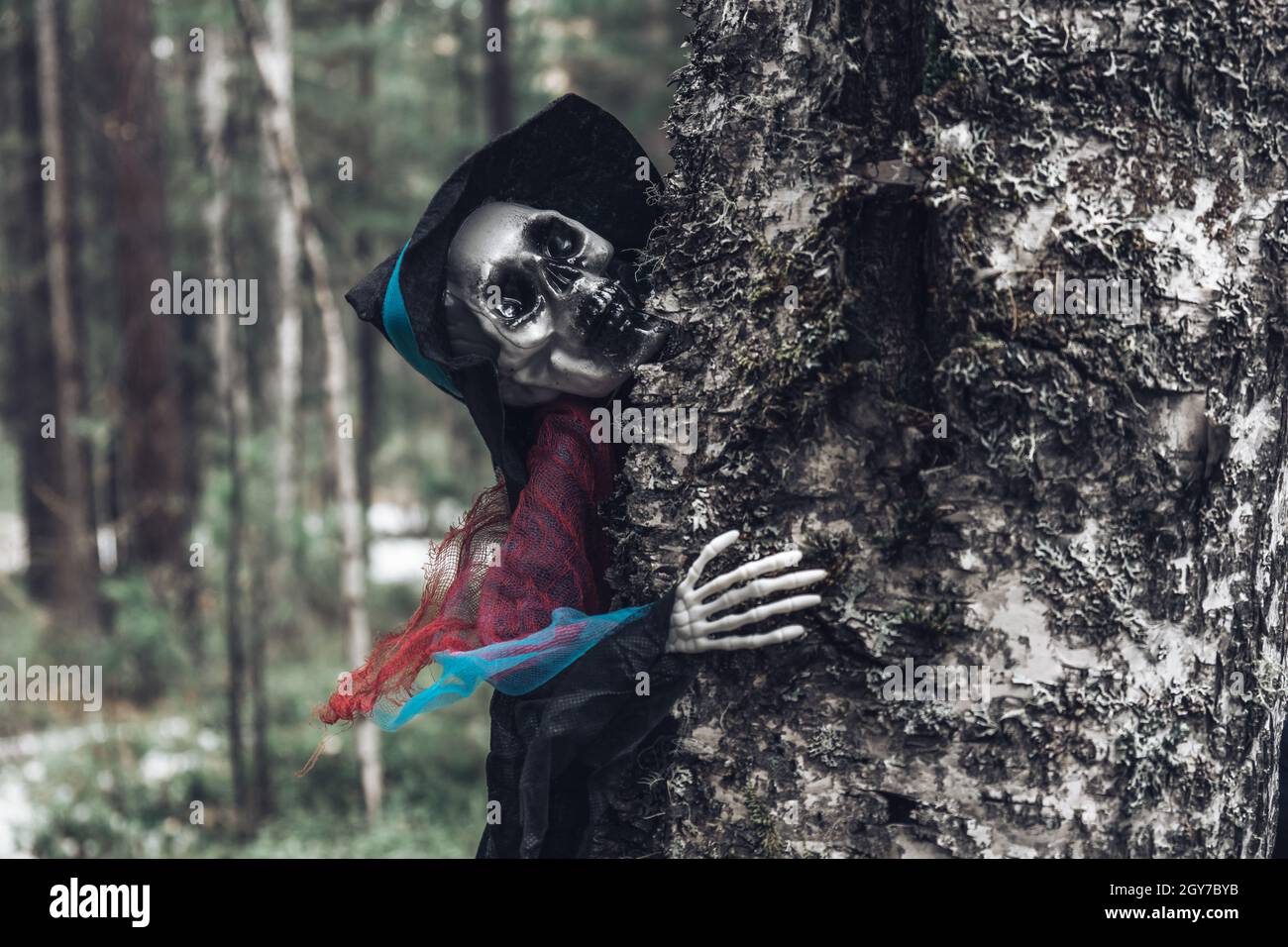 Scheletro umano, fantasma in stracci e cappello, peek fuori da dietro un vecchio albero di muschio nella foresta. Messa a fuoco selettiva. Concetto di sfondo di Halloween. Primo piano. Foto Stock