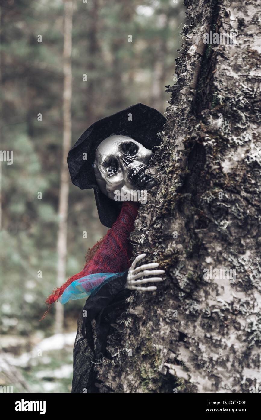 Scheletro umano, fantasma in stracci e cappello, peek fuori da dietro un vecchio albero di muschio nella foresta. Concetto di sfondo di Halloween. Messa a fuoco selettiva. Verticale. Foto Stock