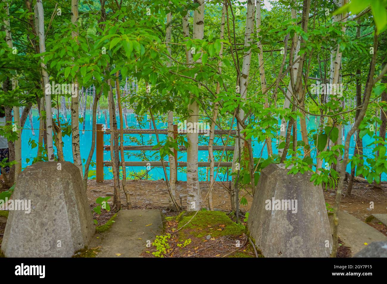 Laghetto blu a Biei-cho a Hokkaido. Luogo di tiro: Hokkaido Biei-cho Foto Stock